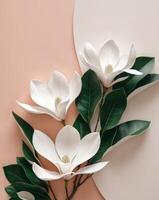 White flowers on a pink and white background photo