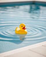 A rubber duck floating in a pool photo
