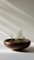 A small bowl with moss and trees in it photo