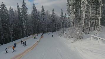 Skiers and snowboarders ride on a ski slope in a mountain resort against the background of a snowy winter video