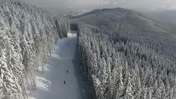 Aerial view. Ski resort. Snow covered fir trees on the background of mountain peaks. video