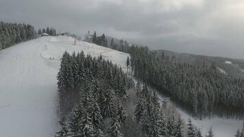 Skiers and snowboarders go down the slope in a ski resort. Winter forest. Aerial view video
