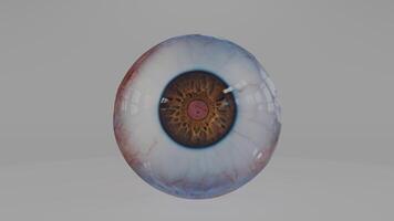 An eye with a red and blue color photo