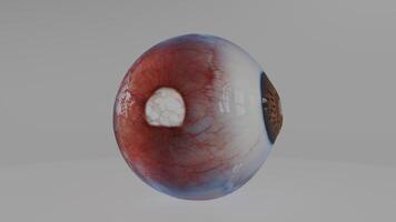 An eye with a red and blue eye on it photo