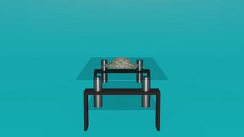 A table with a rock on top of it photo