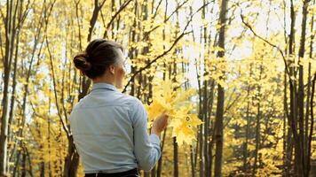 donna nel autunno parco. all'aperto ritratto di bellissimo giovane donna nel autunno parco video