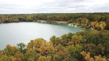 Nature with lake and forest. Aerial view of calm pine trees forest with lake video