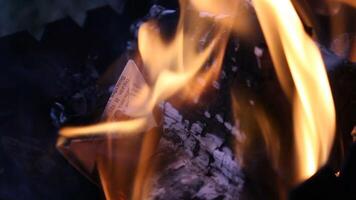 Close Up Of Paper Burning In Flame. Paper burning when in the bonfire flame video