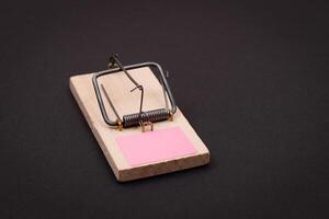 Blank Pink Sheet of Paper in Wooden Mousetrap - Template. Small Memo Paper in Mouse Trap on Black Background photo