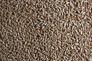 Peeled Sunflower Seeds Background. A Culinary Canvas of Shell-free Sunflower Seeds, Creating a Lively and Textured Background for Gourmet Cooking - Top View, Flat Lay photo