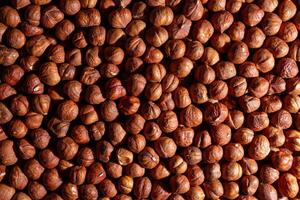 Scattered Peeled Hazelnut - Top View. Background from Hazelnuts. Natural High-Calorie Snacks photo