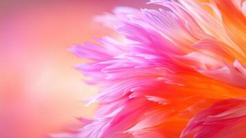 vibrant close up of flower with delicate pink and orange petals, showcasing intricate textures and soft gradients. image evokes sense of beauty and tranquility photo
