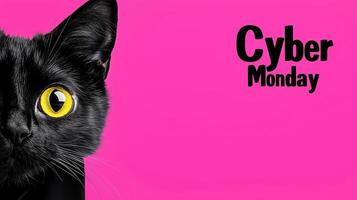 playful black cat with striking yellow eye is featured against vibrant pink background, promoting Cyber Monday. This captures attention with its bold colors and whimsical charm photo