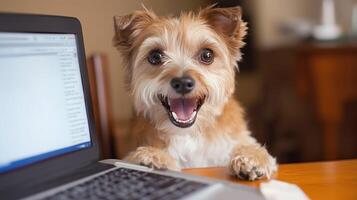 Happy dog sitting at desk with laptop, expressing joy and curiosity. This adorable pet brings cheerful atmosphere to workspace, making it delightful scene photo