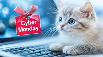 cute kitten with blue eyes sits on keyboard, looking curiously at Cyber Monday tag. This adorable scene captures playful spirit of pets during online shopping events photo
