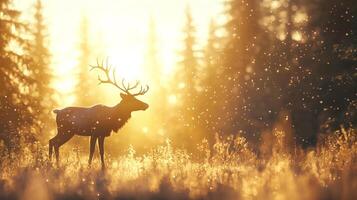 Majestic deer standing in sunlit forest, surrounded by golden light and soft particles in air, creating serene and enchanting atmosphere photo