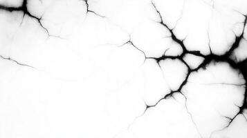 striking black and white abstract texture featuring intricate, branching patterns resembling veins or cracks. This design evokes sense of depth and complexity, perfect for various creative projects photo