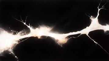 This abstract image features striking contrast of white and black, showcasing dynamic, flowing shapes that resemble organic forms or fluid movement. interplay of light and shadow creates sense of photo