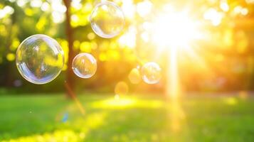 Bubbles float gracefully in sunlit garden, creating magical atmosphere filled with warmth and joy. sunlight filters through trees, enhancing serene beauty of scene photo