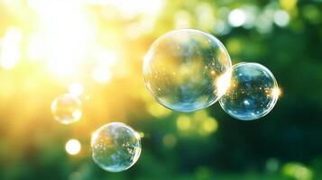 Bubbles float gracefully in sunlit environment, creating magical atmosphere filled with light and reflections. vibrant background enhances beauty of these delicate spheres photo