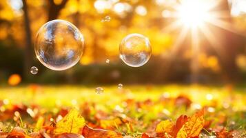 Bubbles float gently above carpet of vibrant autumn leaves, illuminated by warm sunlight filtering through trees, creating serene and magical atmosphere photo