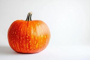 A Single Orange Pumpkin with a Speckled Exterior photo