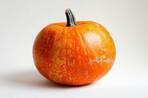 A Single Orange Pumpkin with a Green Stem on a White Background photo