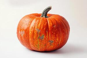 A Single Orange Pumpkin with a Green Stem photo