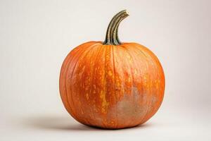 Single Orange Pumpkin with Green Stem on White Background photo