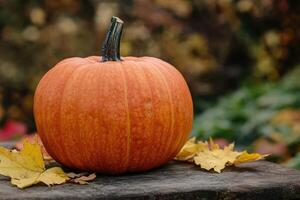 A Single Orange Pumpkin Resting on Wooden Surface with Autumn Leaves photo