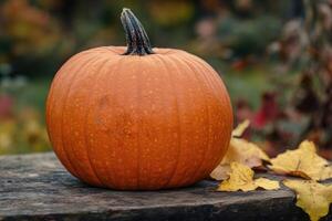 Close-up of a Single Orange Pumpkin on a Wooden Surface with Autumn Leaves photo