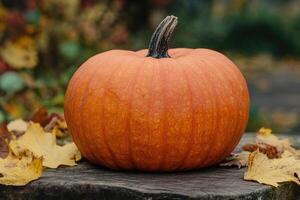 A Single Orange Pumpkin Resting on a Wooden Surface with Autumn Leaves photo