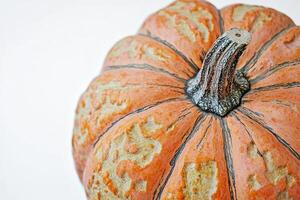 Close-up of a Speckled Orange Pumpkin with a Stem photo