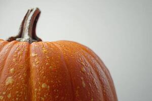 Close-up of an Orange Pumpkin with a Rough Texture photo