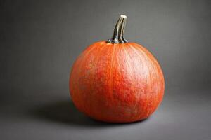 A Single Orange Pumpkin on a Gray Background photo
