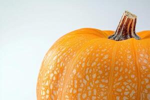 Close-up of a Pumpkin's Skin with White Speckles photo