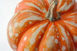 Close-Up of a Speckled Orange Pumpkin with White and Brown Patches photo