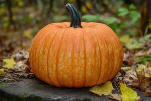 A Single Ripe Orange Pumpkin Resting on a Mossy Stone photo