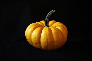A Single, Vibrant Orange Pumpkin Against a Black Background photo