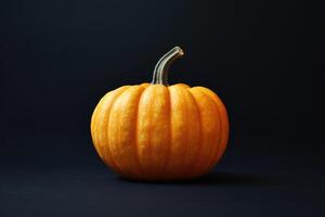 A Single Orange Pumpkin on a Black Background photo