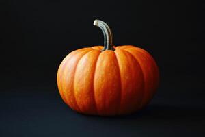 A Single Orange Pumpkin on a Black Background photo