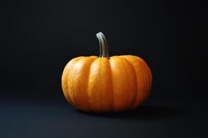 A Single Orange Pumpkin on a Black Background photo