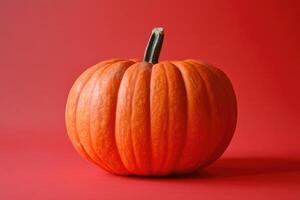 A Single Pumpkin on a Red Background photo