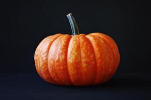 A Single Orange Pumpkin Against a Black Background photo
