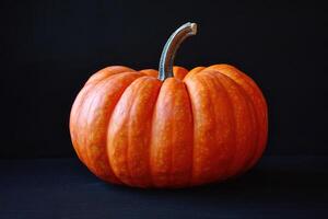 A Single Orange Pumpkin on a Black Background photo