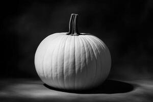 A Single White Pumpkin on a Dark Surface photo