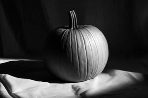 A Single Pumpkin in Black and White with Dramatic Lighting photo