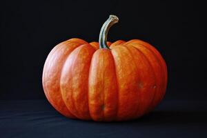 A Single Orange Pumpkin Isolated on a Black Background photo