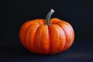 A Single Orange Pumpkin on a Black Background photo