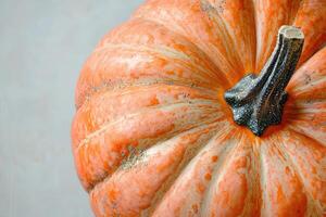 Close-up of a Ripe Orange Pumpkin with a Black Stem photo